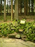 An diesem Brunnen hat der Sage nach Hagen Siegfried ermordet...
