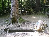 Bleiben wir bei den Quellen: bei Steinbach sprudelt die Einhardsquelle. Ein traumhaft schöner Flecken Erde mit einem köstlichen Wasser gesegnet.